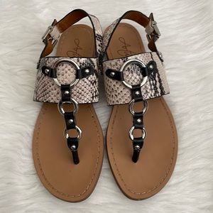 Arturo Chiang sandals size 6